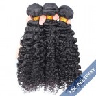 Natural Looking Brazilian Virgin Human Hair 3B 3C Kinky Curly Hair Weave 3 Bundles