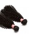 Kinky Curly 100% Human Hair Brazilian Virgin Hair 3 Bundles Hair Extension
