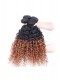 Ombre Hair Weave Color 1b/#30 Kinky Curly Virgin Human Hair 3 Bundles