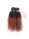 Ombre Hair Weave Color 1b/#30 Kinky Curly Virgin Human Hair 3 Bundles