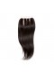 Malaysian Virgin Hair Silk Straight Three Part Lace Closure 4x4inches Natural Color