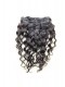 Loose Wave Indian Remy Hair Clip In Human Hair Extensions Natural Color